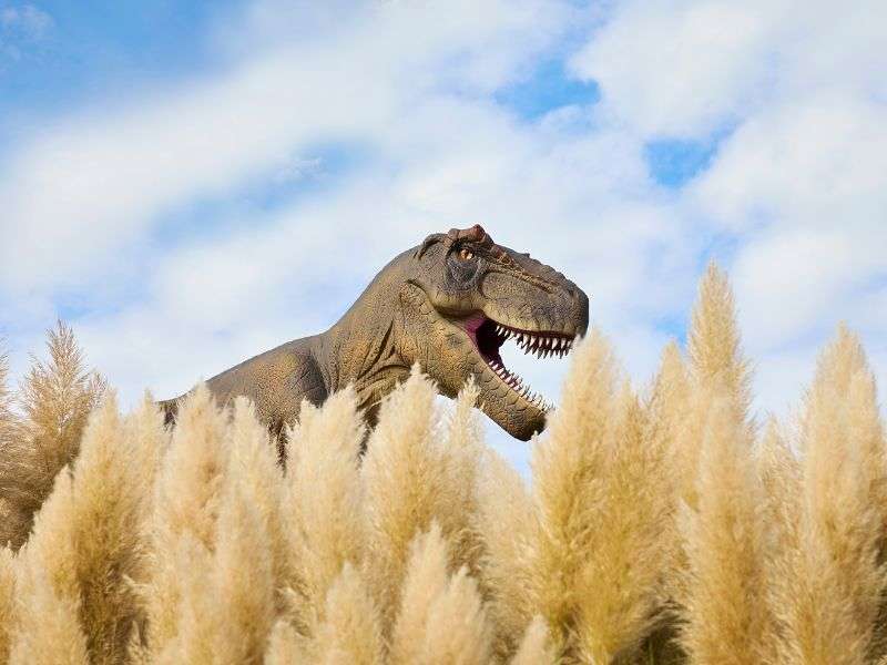 T-Rex