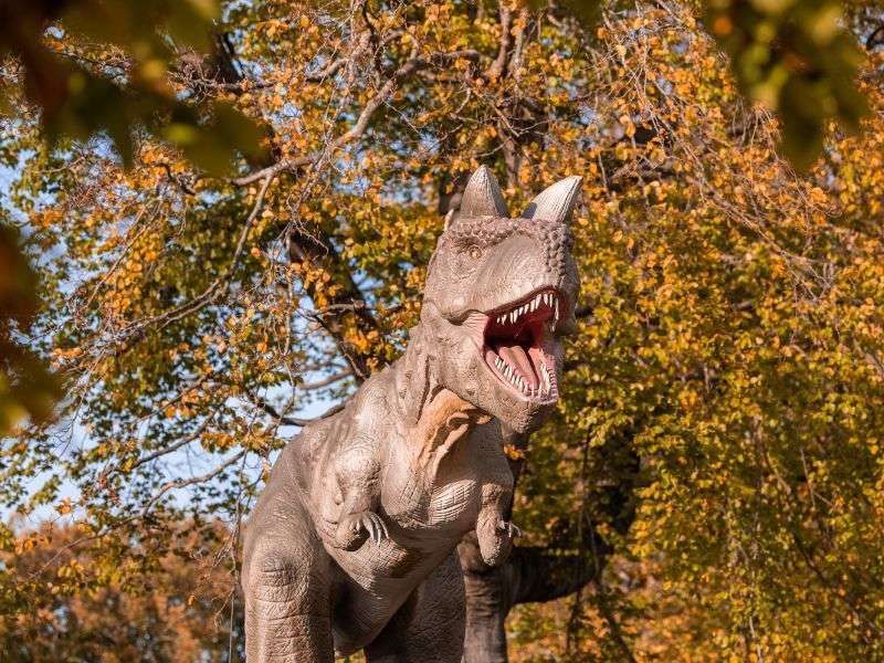 Dino Discovery