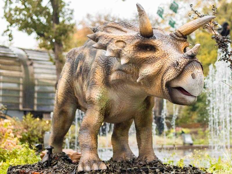 Triceratops