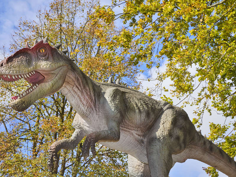 Yangchuanosaurus 