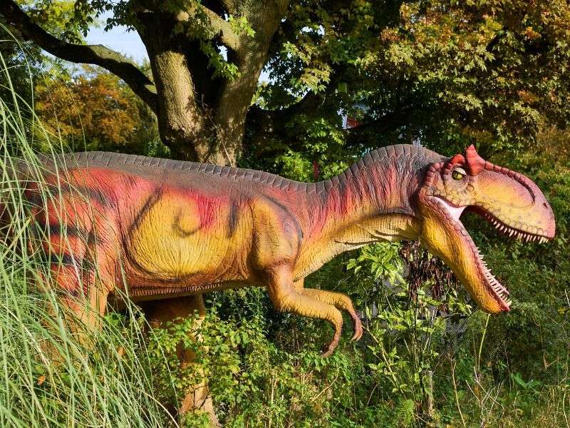 Allosaurus