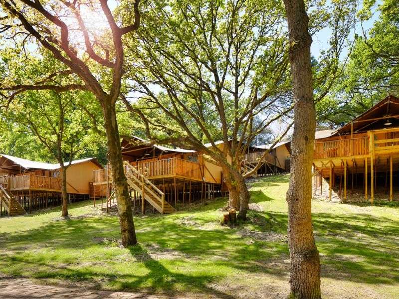 Ons glamping aanbod