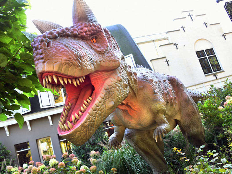 Albertosaurus